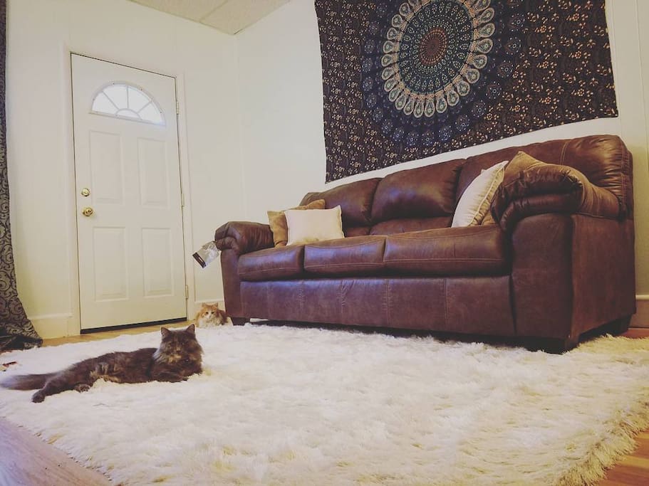 Shared Living Room