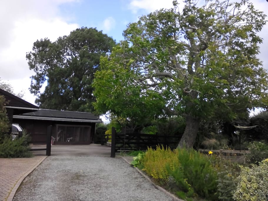 stables, and back of house
