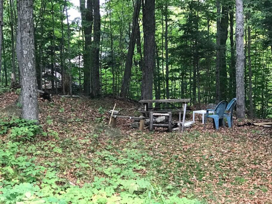 Fire pit area in the back