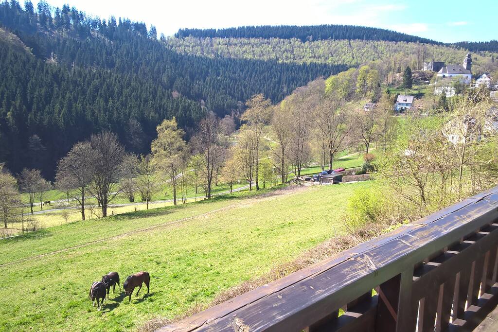Uitzicht vanaf het balkon