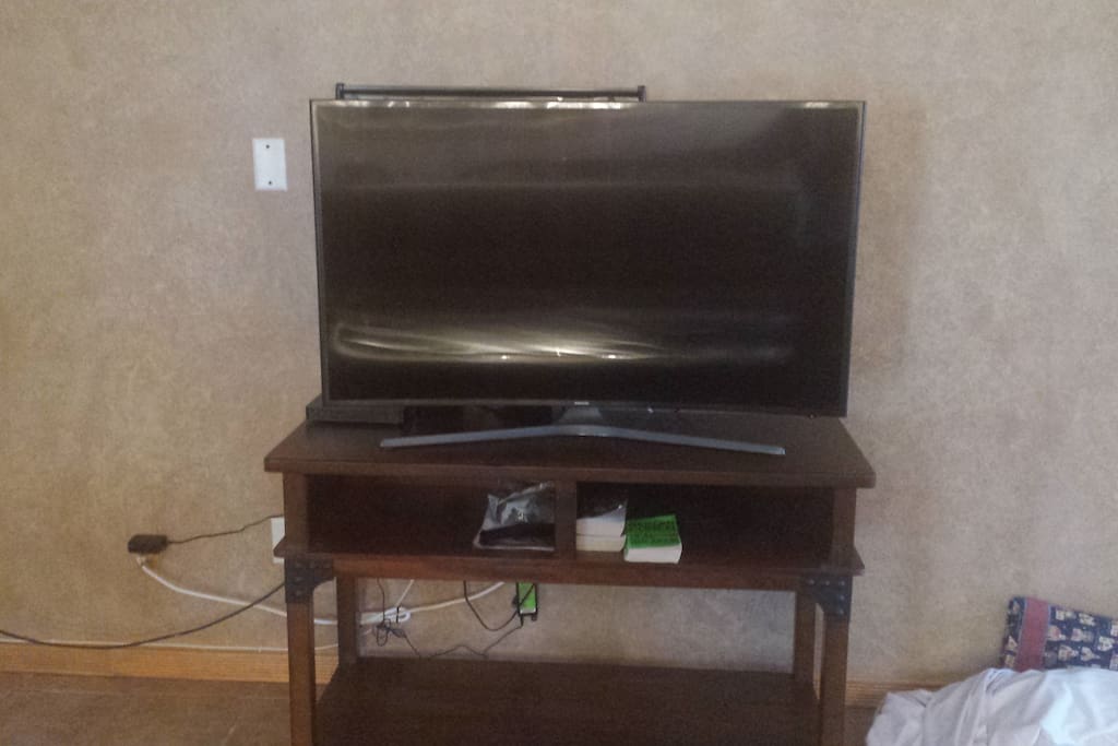 Curved flat screen TV