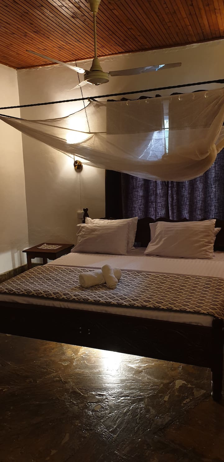 Habitación 1