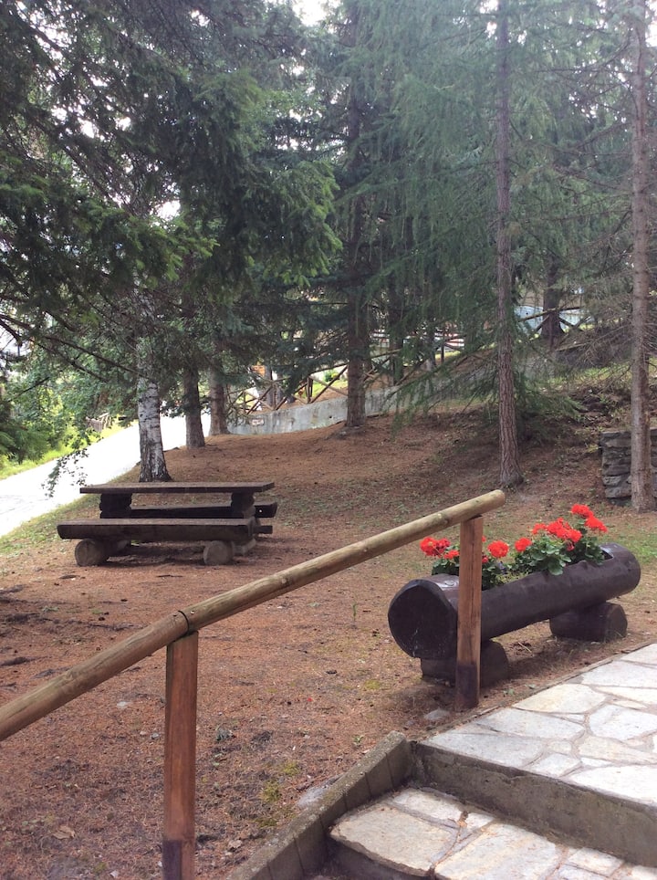 Studio with garden, very close to ski slopes.