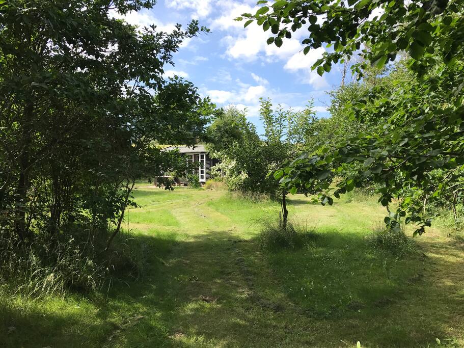 Kig gennem haven mod Hus 1 (køkken/stue). Marken ses i baggrunden.