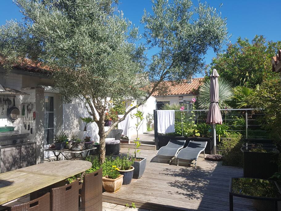 Jardin terrasse extérieur (espace commun)(propriétaire et locataires)