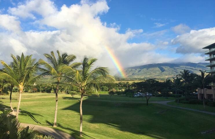 Maui Resort Rentals: Honua Kai Konea 202 gallery image 5