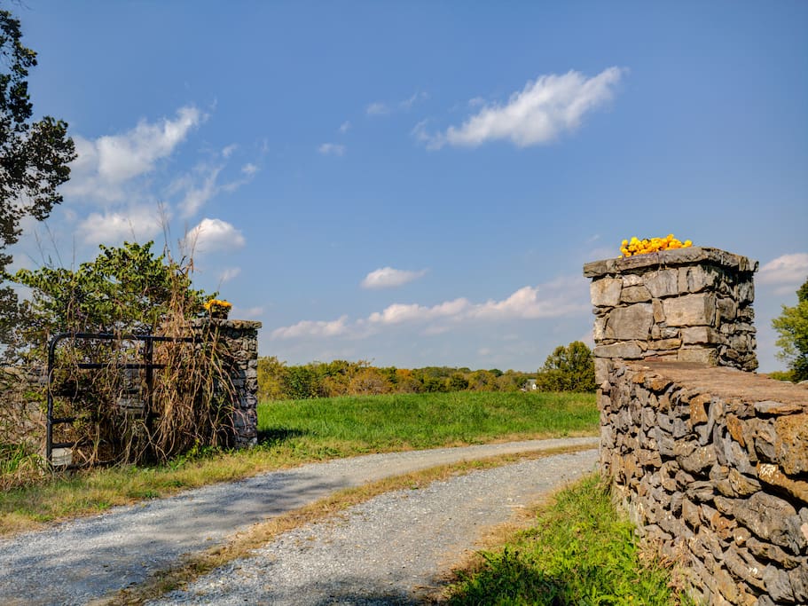 Entry gate