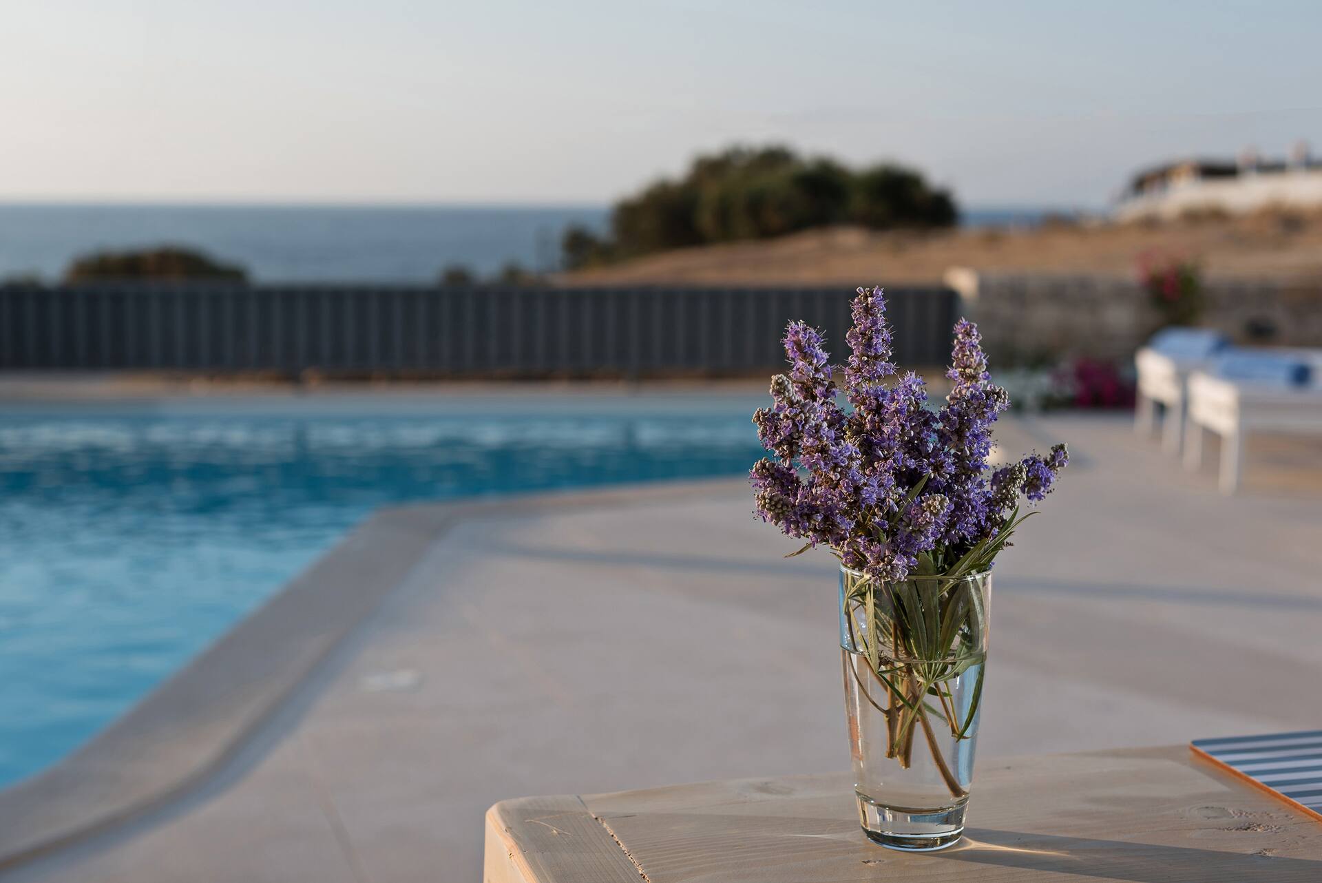 Villa Levanda, piscine, à distance de marche de la plage et des commerces, pas besoin de voiture ! — photo 5