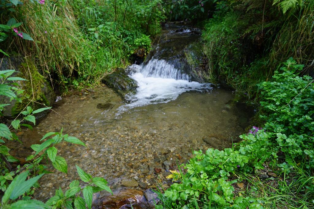 Stream with potable water running through the garden