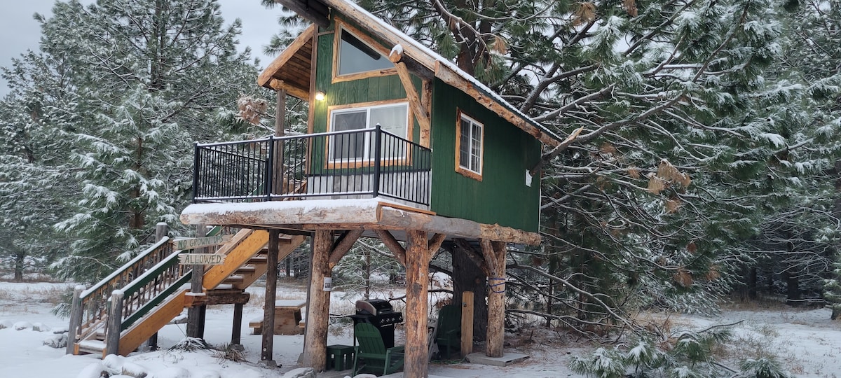 A charming treehouse, elevated on wooden supports, features a green exterior and a balcony. Snow blankets the ground nearby, and steps lead to the entrance. A grill and seating are positioned beneath the treehouse, surrounded by tall pine trees.