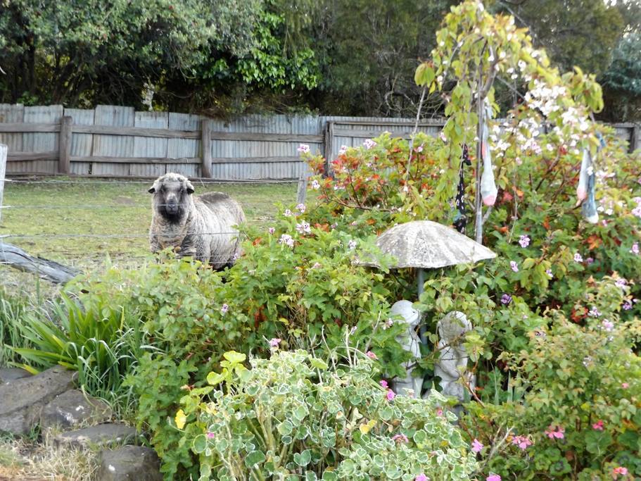 Your neighbours.