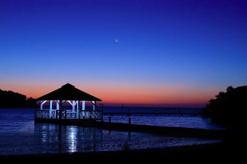 Palapa