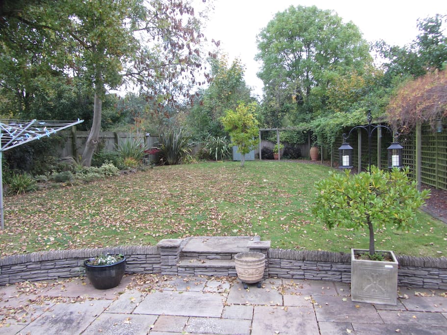 Our back garden