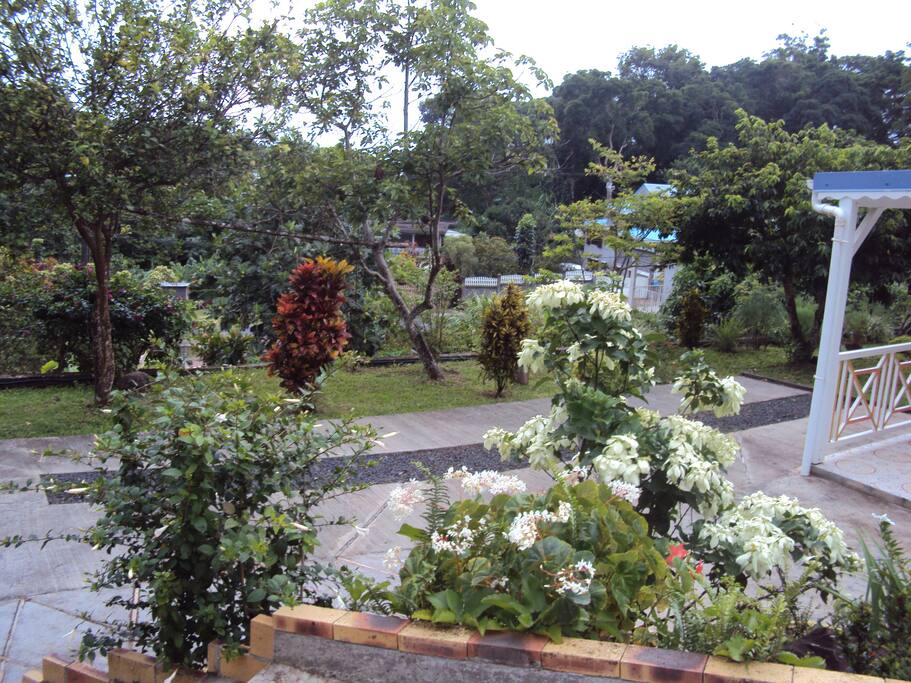 Jardin