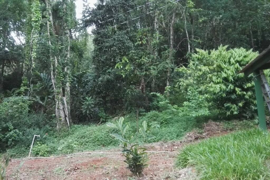 Costado de la propiedad