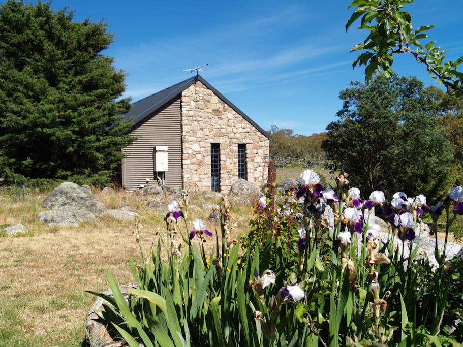 Side View