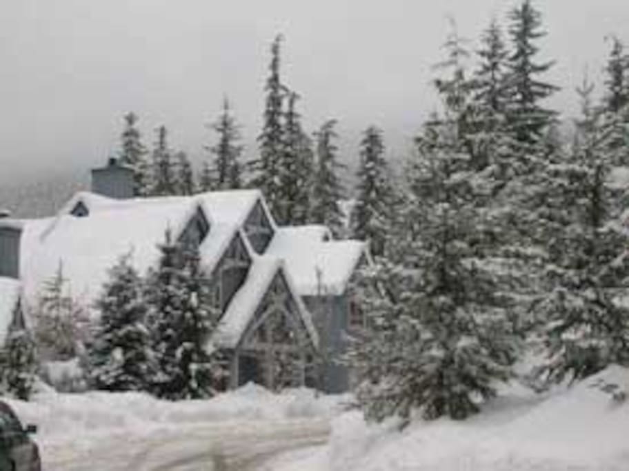 Treeline in Winter....