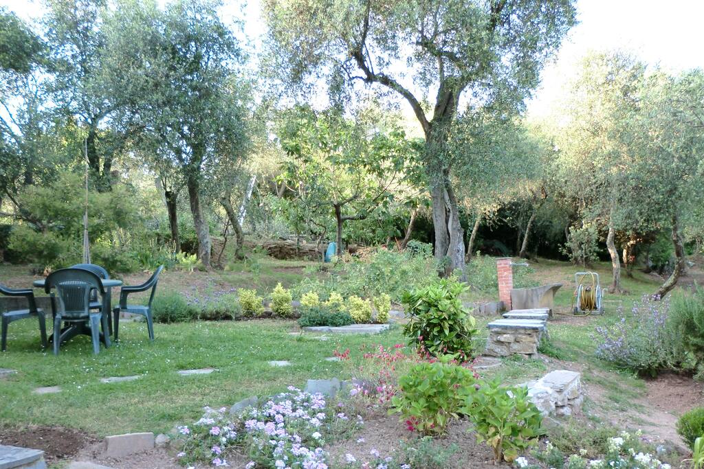L' uliveto
