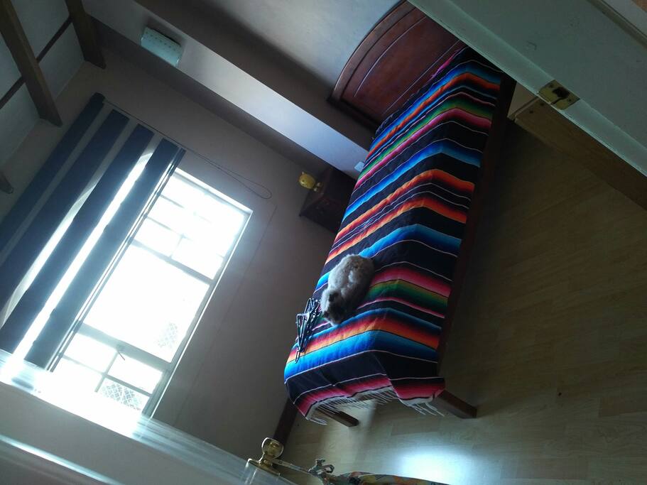 Habitación con cama de una plaza y media sin televisor