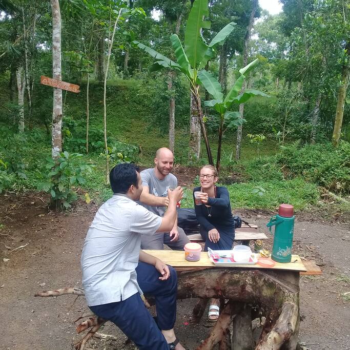 Tereng Wilis Jungle Cafe