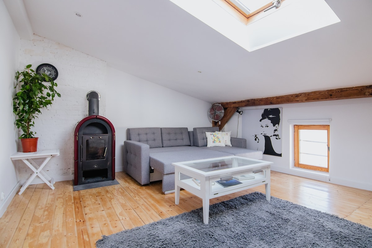 The bright living area features a gray sofa and a sleek coffee table, positioned on a plush rug. A fireplace adds warmth, while ample natural light enters through a skylight and a window. Decorative elements include a potted plant and wall art.