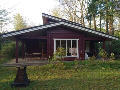 Vacation Rental De Eekhoorn