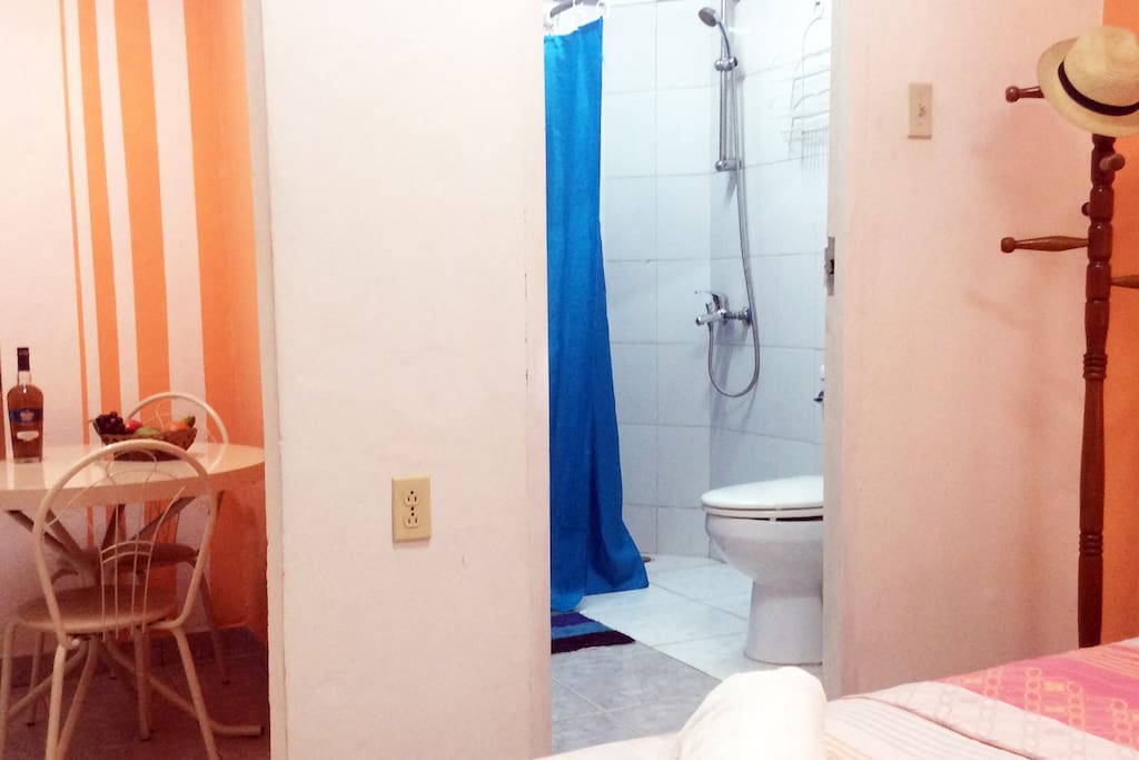 VISTA DEL BAÑO Y DEL PEQUEÑO COMEDOR