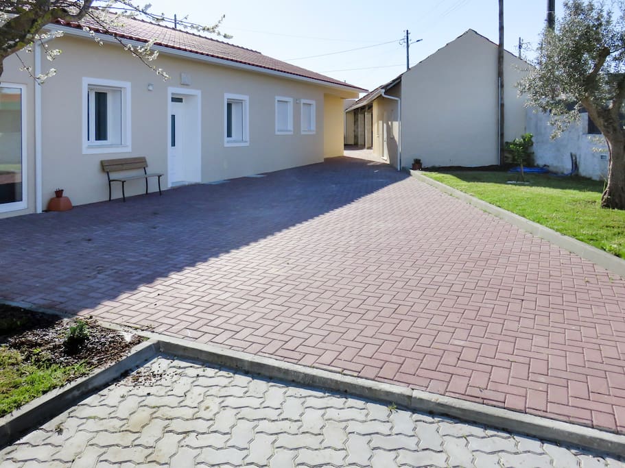 Maison -terrasse - oliviers