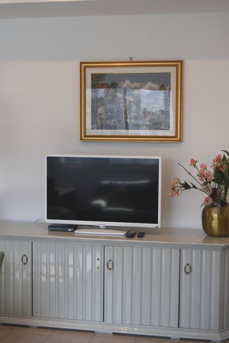 TV set with FTA sat receiver
