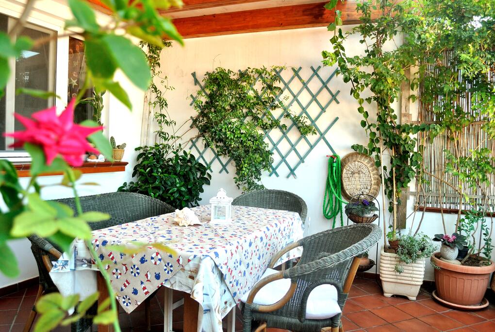 Terrazza uso esclusivo con vista su Palmarola