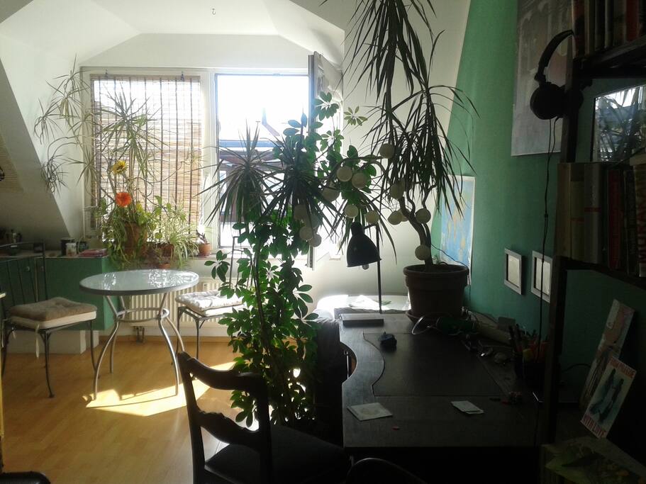 Küchenbereich mit Sitzplatz zum Esssen u schönem Blick
kitchen area