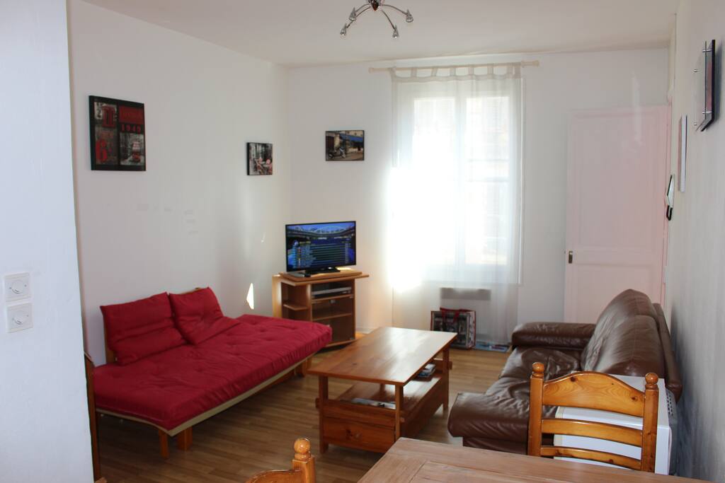 Le salon avec un canapé cuir, un canapé lit 1 place et une télévision avec lecteur DVD.
