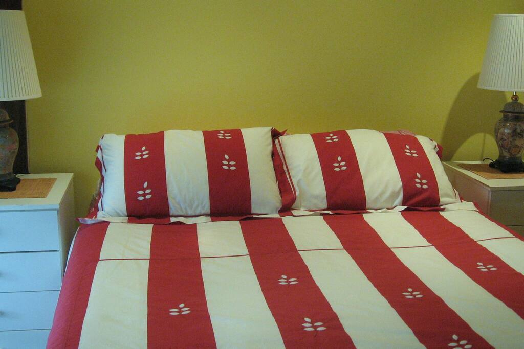 Queen Bed with Electric blankets