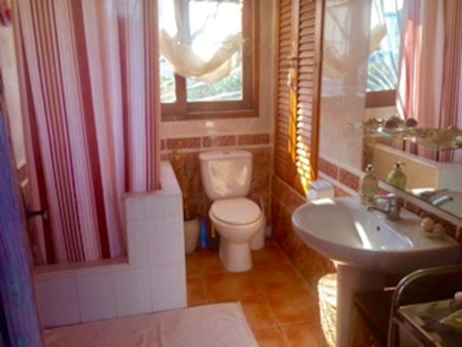 Private bathroom for guests