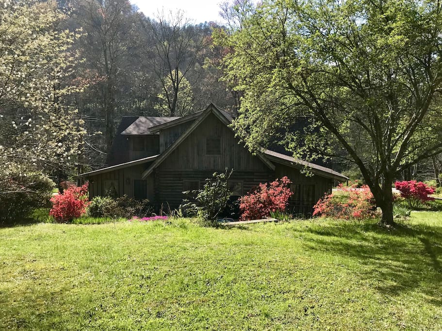 Back of the cabin from back yard.