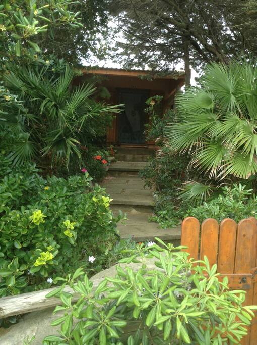 Vialetto ingresso