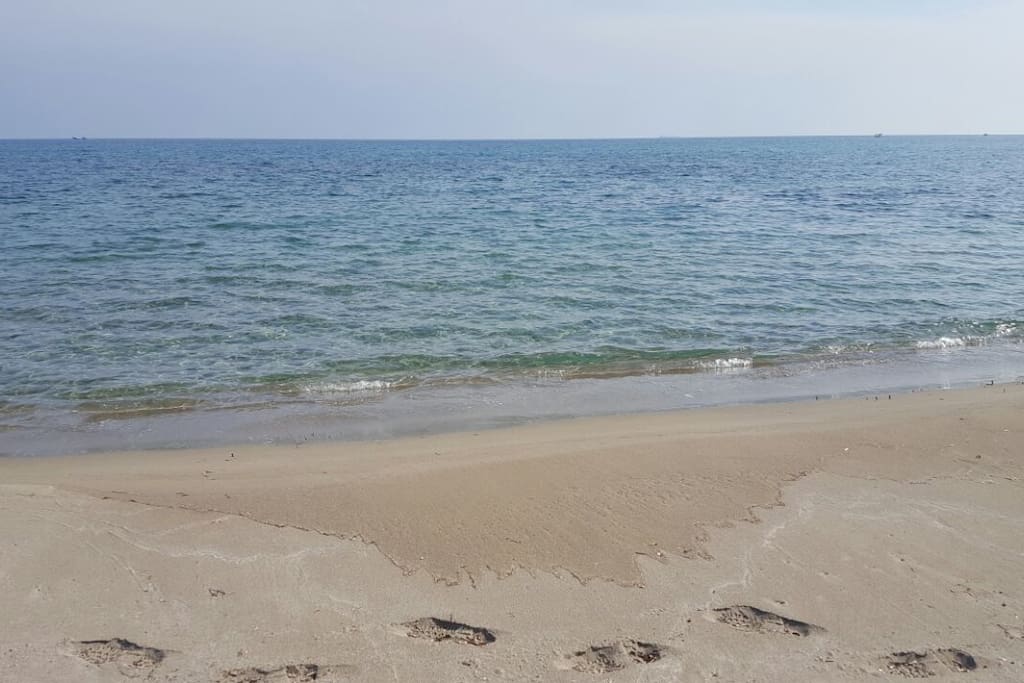 mare
