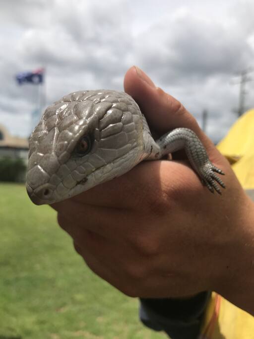 One of our garden friends