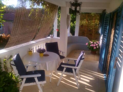 Feel nature, feel Agava!