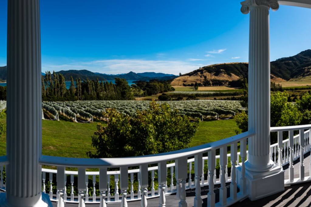 View from the house
