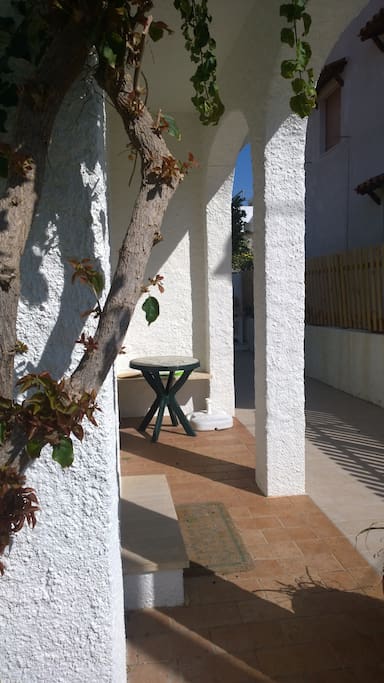 Il giardino