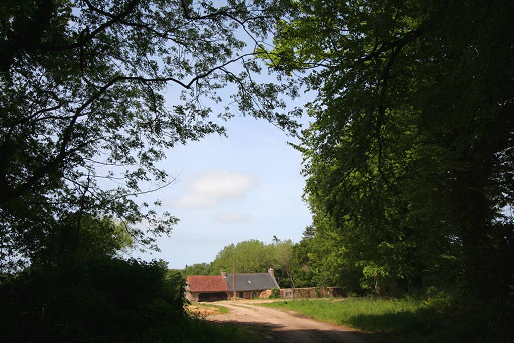 en arrivant à la maison