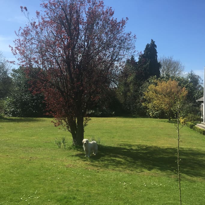 And is set in an acre of garden which you are free to roam.