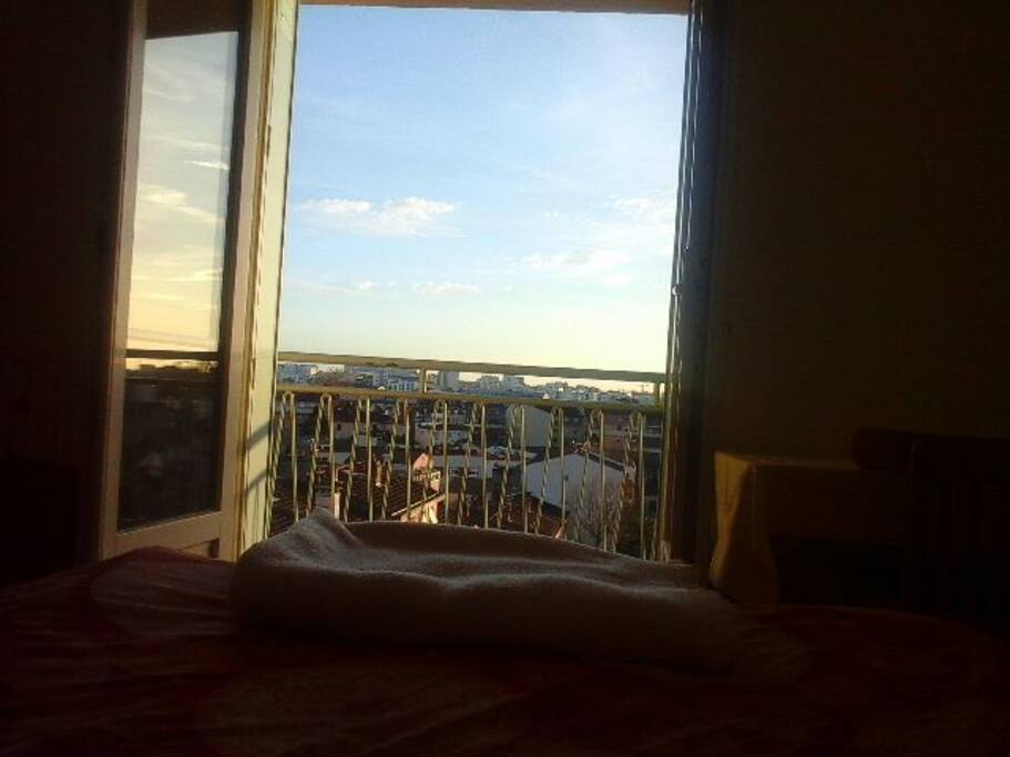 Vue sur Toulouse et les Pyrénées