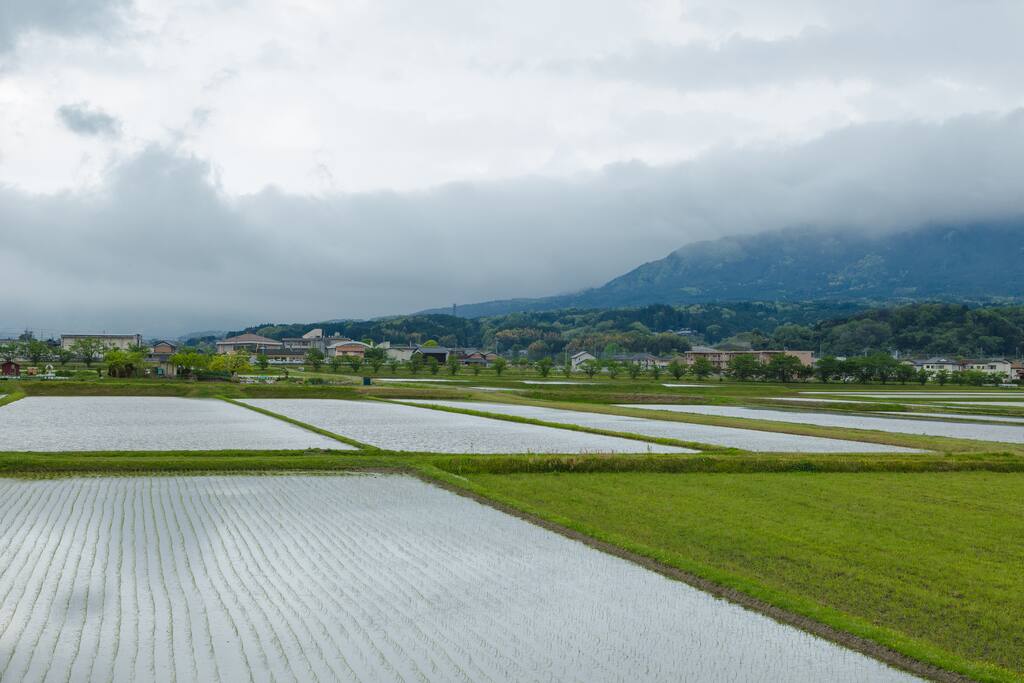 Landscape