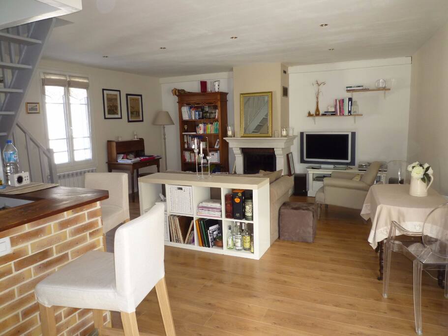 Salon avec cheminee - Living room w/ fireplace