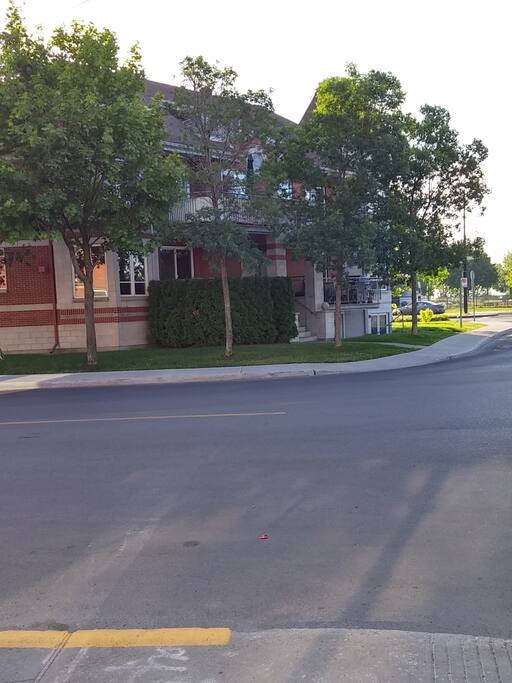 On street free parking overnight