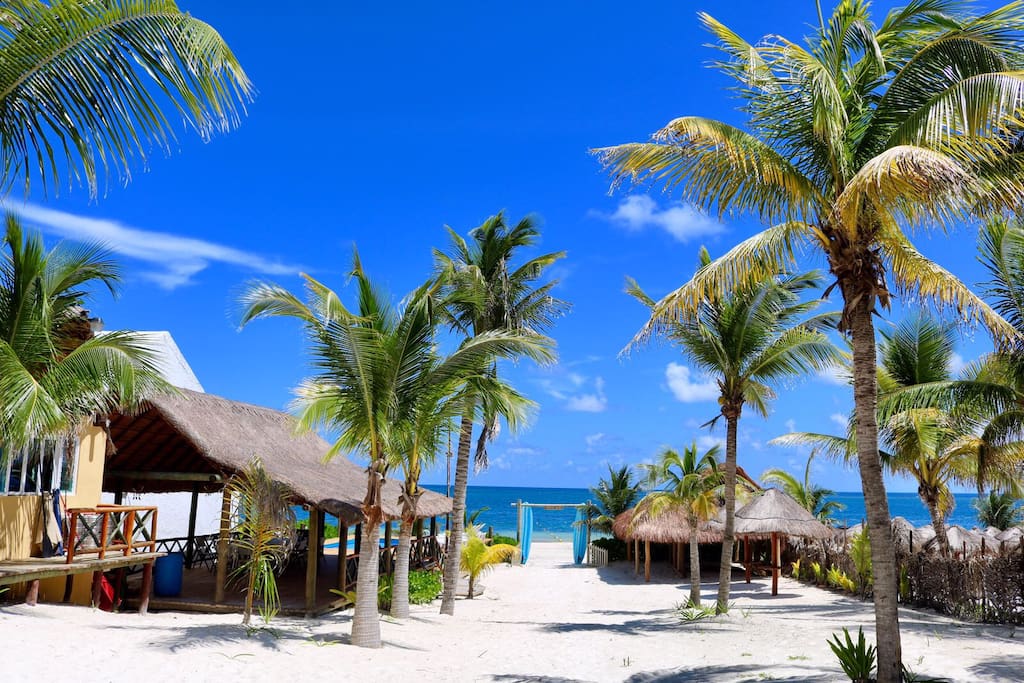 Property Grounds - Direct Beach Access