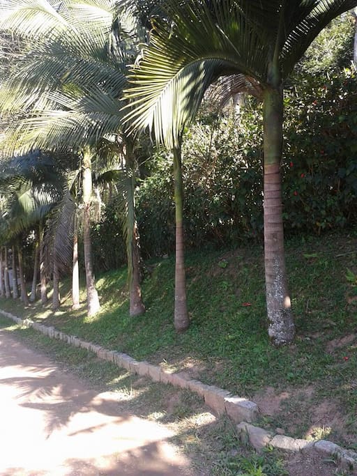 Entrada da Chácara
