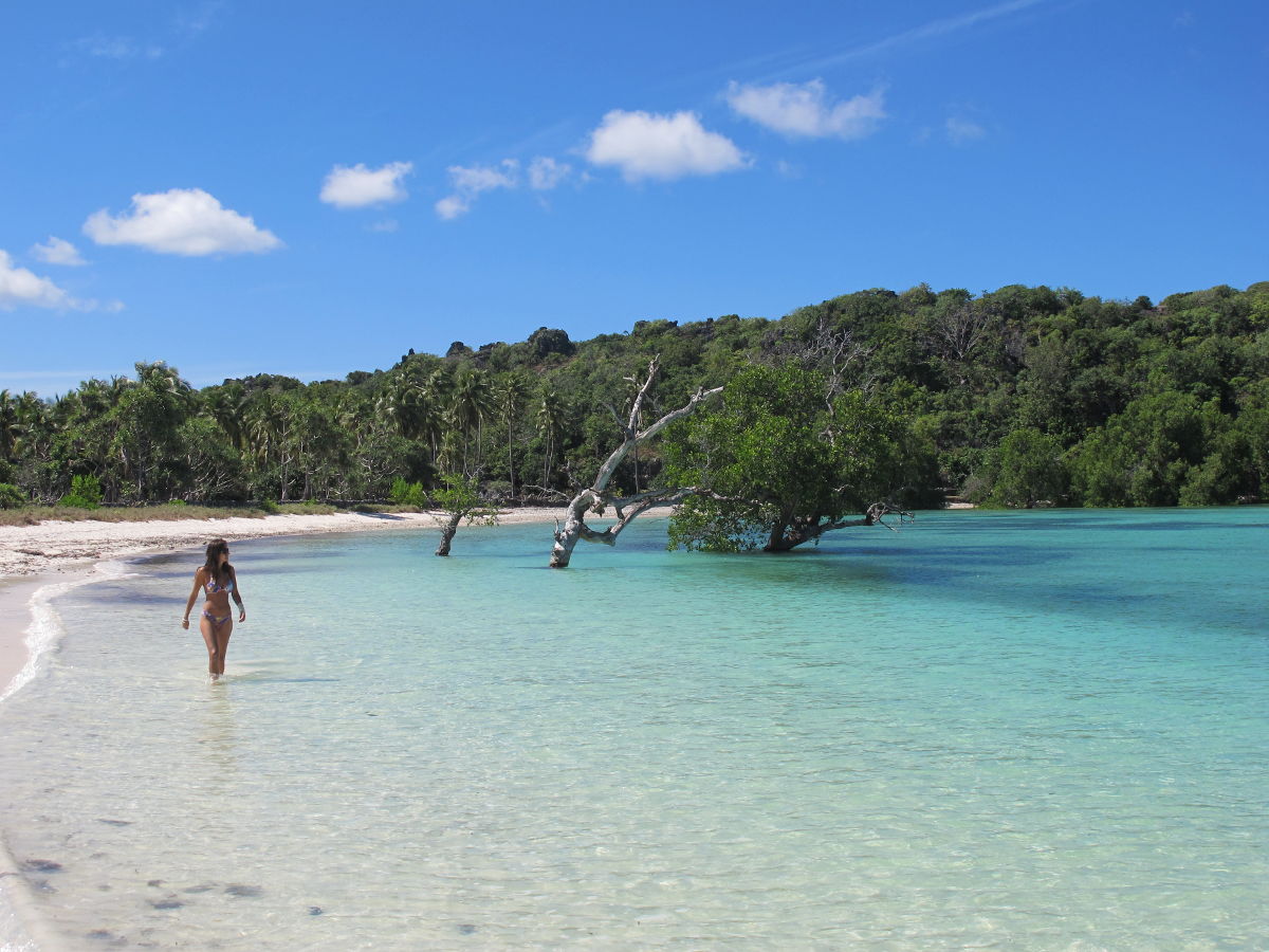 A serene beach scene depicts a person walking along the water's edge in shallow, clear turquoise water. Lush greenery lines the background, with trees rising from the sandy shore. A few clouds drift across the bright blue sky, creating a peaceful beach atmosphere.